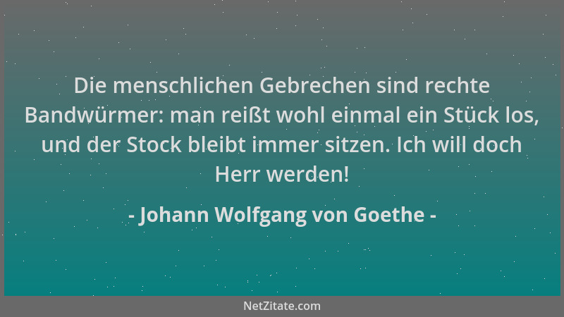 Johann Wolfgang von Goethe - Die menschlichen Gebrechen sind rechte Bandwürmer: man reißt wohl einmal ein Stück los, und de...