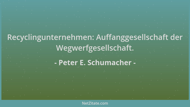 Peter E. Schumacher - Recyclingunternehmen: Auffanggesellschaft der Wegwerfgesellschaft....