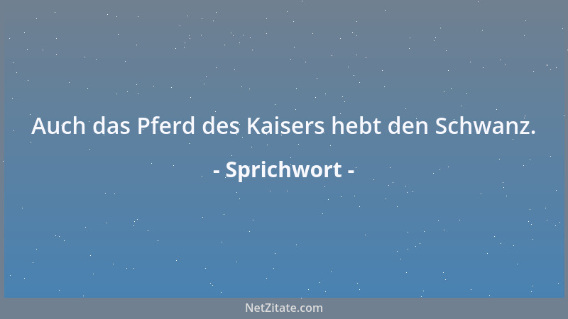 Sprichwort - Den Freund strafe heimlich, lobe ihn öffentlich....