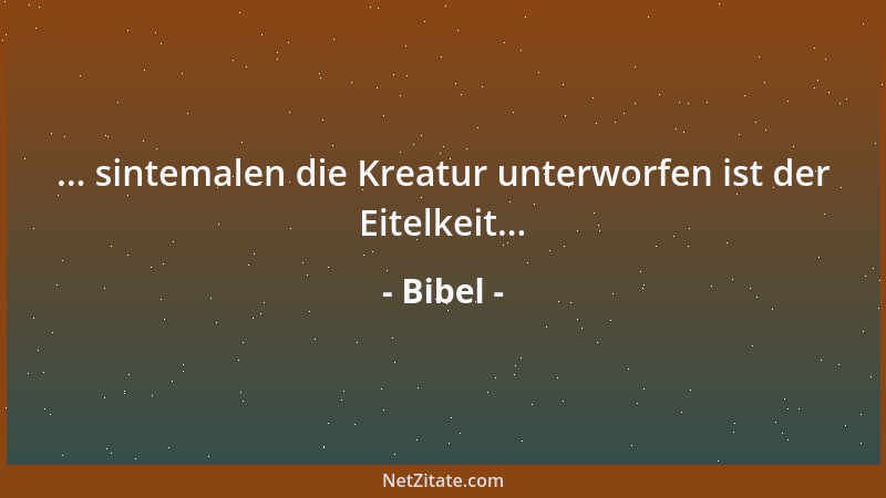 Bibel - ... sintemalen die Kreatur unterworfen ist der Eitelkeit......
