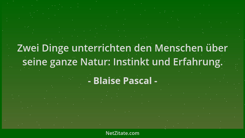 Blaise Pascal - Zwei Dinge unterrichten den Menschen über seine ganze Natur: Instinkt und Erfahrung....