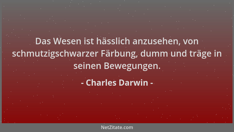 Charles Darwin - Das Wesen ist hässlich anzusehen, von schmutzigschwarzer Färbung, dumm und träge in seinen Bewegungen....