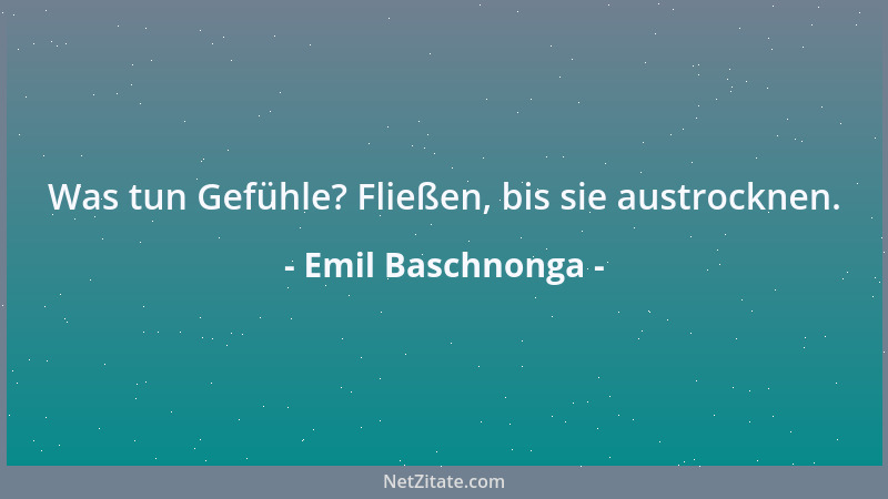 Emil Baschnonga - Was tun Gefühle? Fließen, bis sie austrocknen....