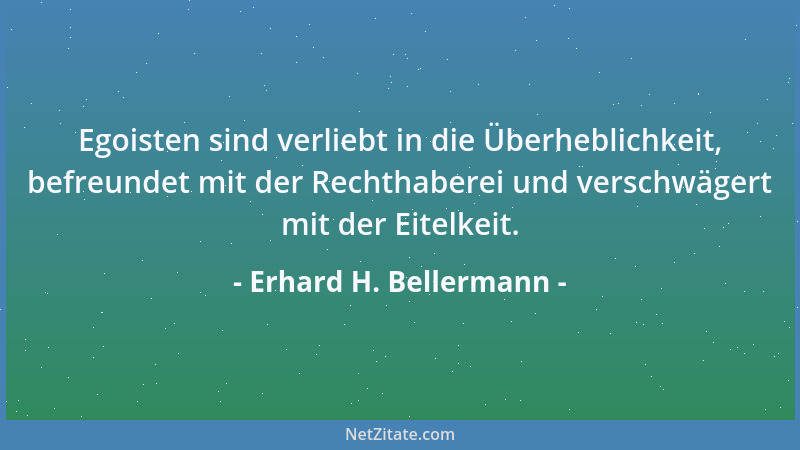 Erhard H. Bellermann - Tester testen was das Zeug hält....