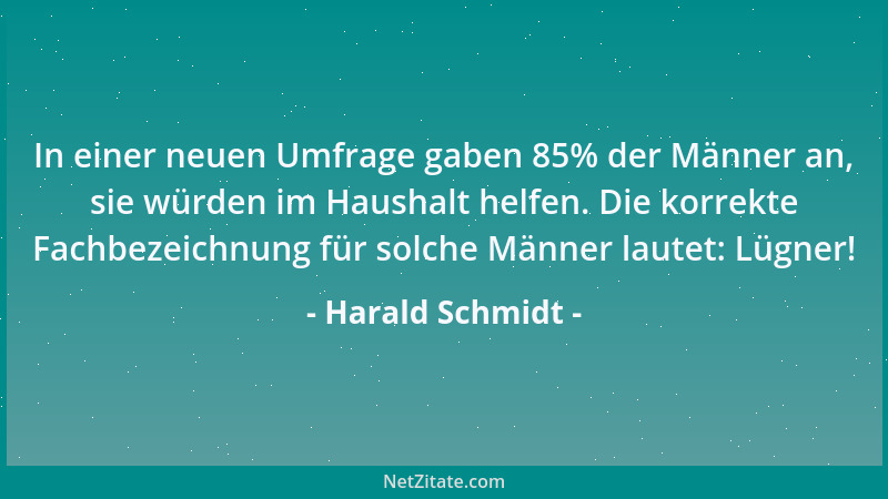 Harald Schmidt - In einer neuen Umfrage gaben 85% der Männer an, sie würden im Haushalt helfen. Die korrekte Fachbezeichnun...