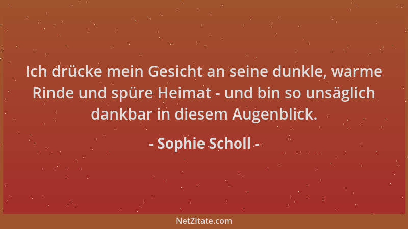 Sophie Scholl - Ich drücke mein Gesicht an seine dunkle, warme Rinde und spüre Heimat - und bin so unsäglich dankbar in die...