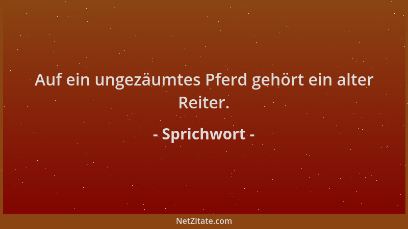 Sprichwort - Auf ein ungezäumtes Pferd gehört ein alter Reiter....
