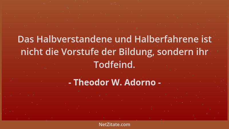 Theodor W. Adorno - Das Halbverstandene und Halberfahrene ist nicht die Vorstufe der Bildung, sondern ihr Todfeind....
