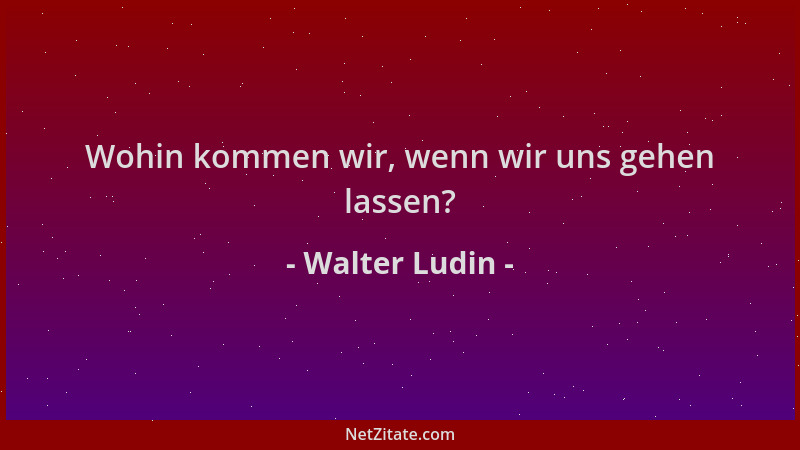 Walter Ludin - Wohin kommen wir, wenn wir uns gehen lassen?...