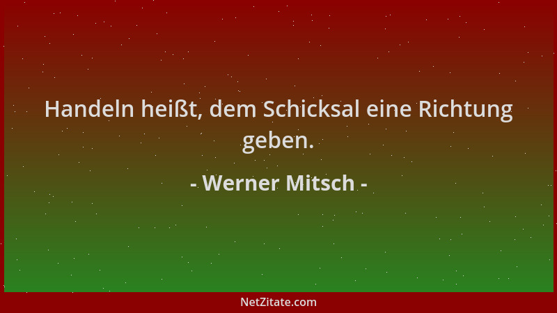 Werner Mitsch - Handeln heißt, dem Schicksal eine Richtung geben....