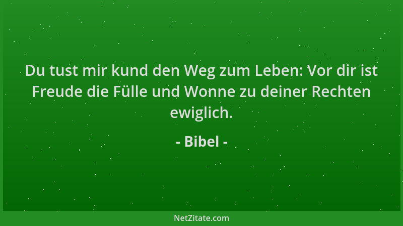 Bibel - Du tust mir kund den Weg zum Leben: Vor dir ist Freude die Fülle und Wonne zu deiner Rechten ewiglich....