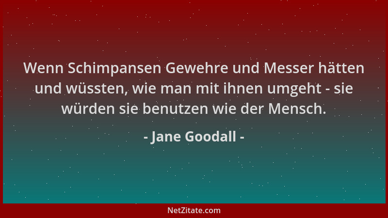 Jane Goodall - Wenn Schimpansen Gewehre und Messer hätten und wüssten, wie man mit ihnen umgeht - sie würden sie benutzen w...