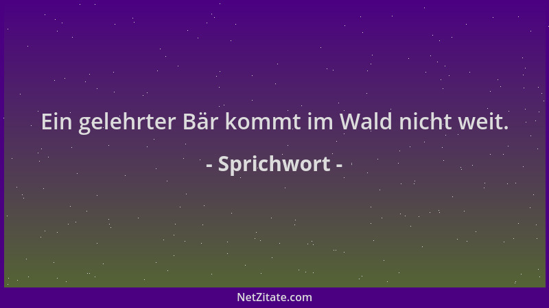 Sprichwort - Ein gelehrter Bär kommt im Wald nicht weit....
