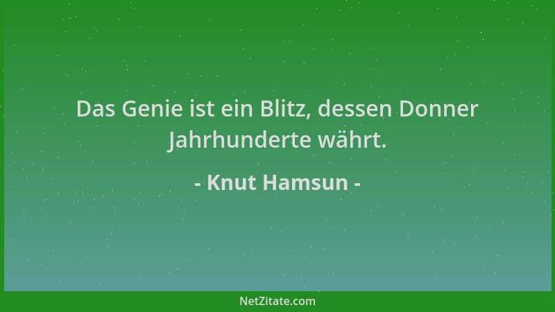 Knut Hamsun - Das Genie ist ein Blitz, dessen Donner Jahrhunderte währt....