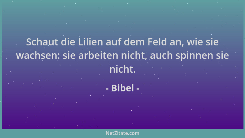 Bibel - Schaut die Lilien auf dem Feld an, wie sie wachsen: sie arbeiten nicht, auch spinnen sie nicht....
