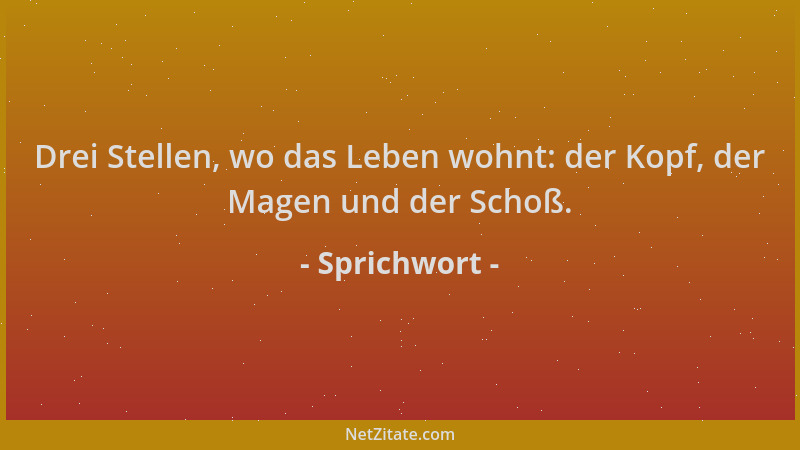Sprichwort - Drei Stellen, wo das Leben wohnt: der Kopf, der Magen und der Schoß....
