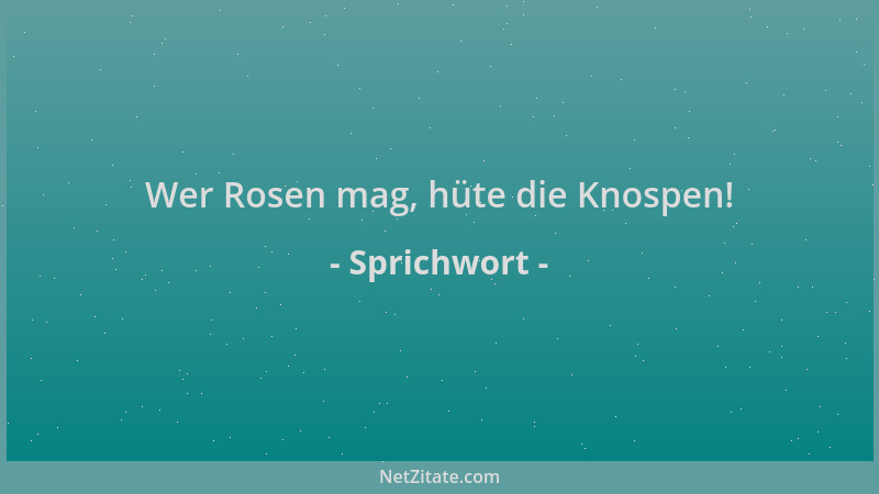 Sprichwort - Wer Rosen mag, hüte die Knospen!...