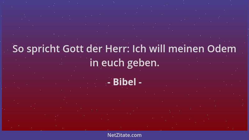 Bibel - So spricht Gott der Herr: Ich will meinen Odem in euch geben....