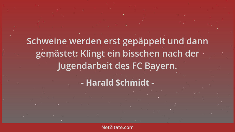 Harald Schmidt - Schweine werden erst gepäppelt und dann gemästet: Klingt ein bisschen nach der Jugendarbeit des FC Bayern....