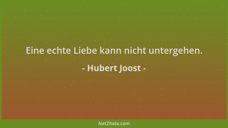 Hubert Joost - Eine echte Liebe kann nicht untergehen....