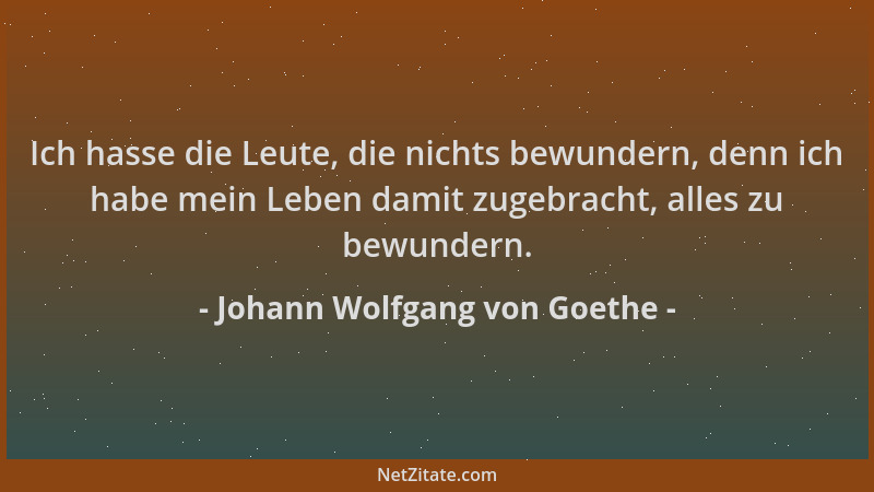 Johann Wolfgang von Goethe - Ich hasse die Leute, die nichts bewundern, denn ich habe mein Leben damit zugebracht, alles zu...
