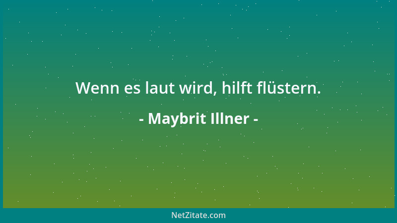 Maybrit Illner - Wenn es laut wird, hilft flüstern....