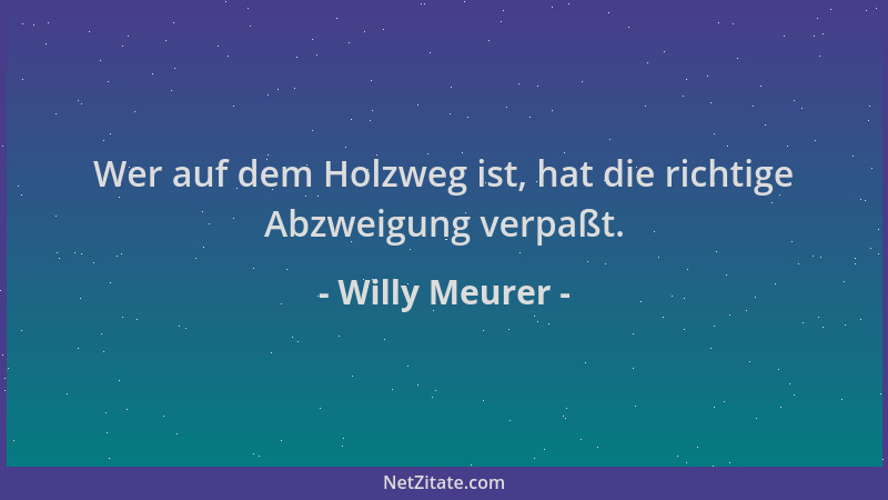 Willy Meurer - Wer auf dem Holzweg ist, hat die richtige Abzweigung verpaßt....
