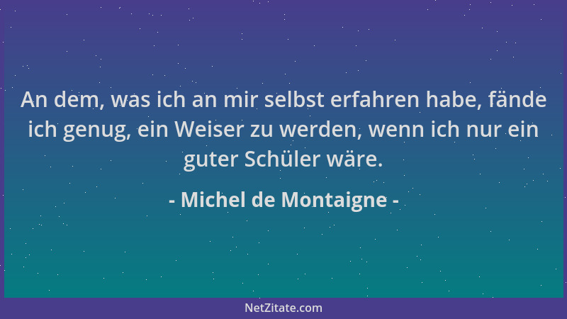 Michel de Montaigne - An dem, was ich an mir selbst erfahren habe, fände ich genug, ein Weiser zu werden, wenn ich nur ein...