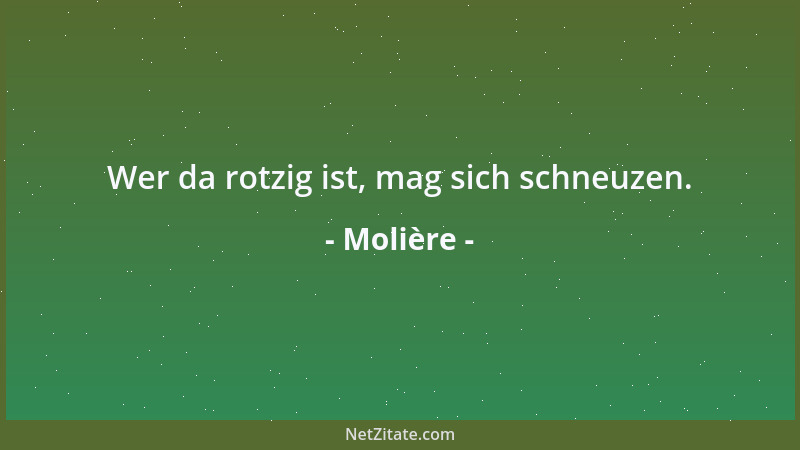 Molière - Wer da rotzig ist, mag sich schneuzen....