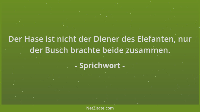 Sprichwort - Der Hase ist nicht der Diener des Elefanten, nur der Busch brachte beide zusammen....