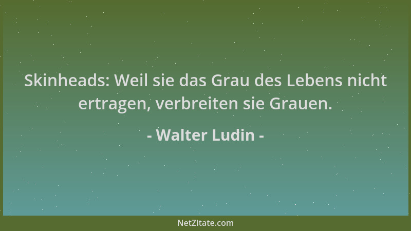 Walter Ludin - Skinheads: Weil sie das Grau des Lebens nicht ertragen, verbreiten sie Grauen....