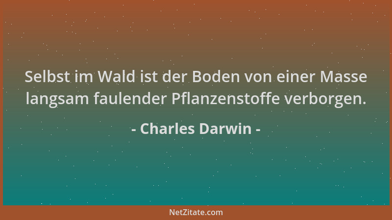 Charles Darwin - Selbst im Wald ist der Boden von einer Masse langsam faulender Pflanzenstoffe verborgen....