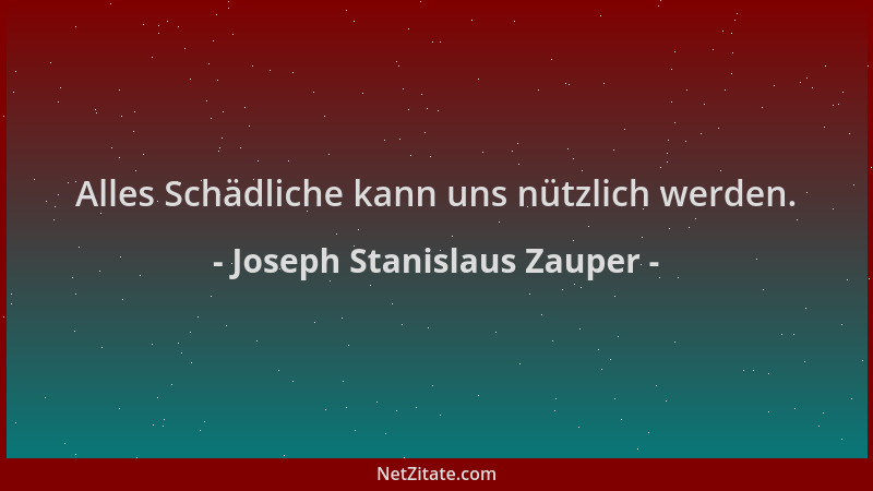 Joseph Stanislaus Zauper - Alles Schädliche kann uns nützlich werden....