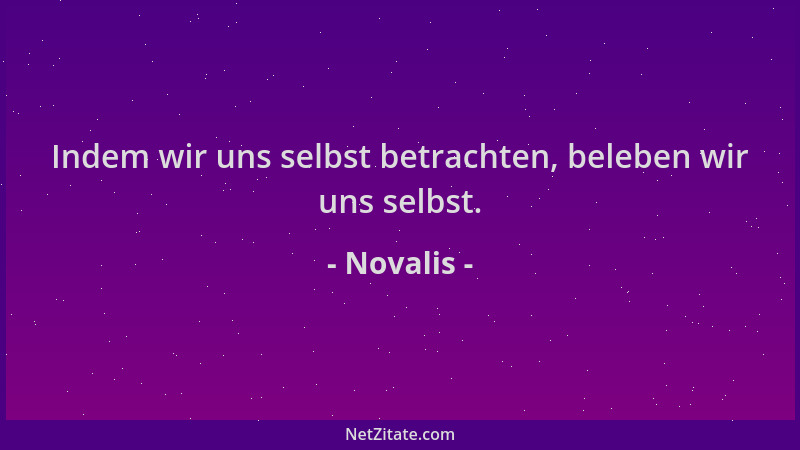 Novalis - Indem wir uns selbst betrachten, beleben wir uns selbst....