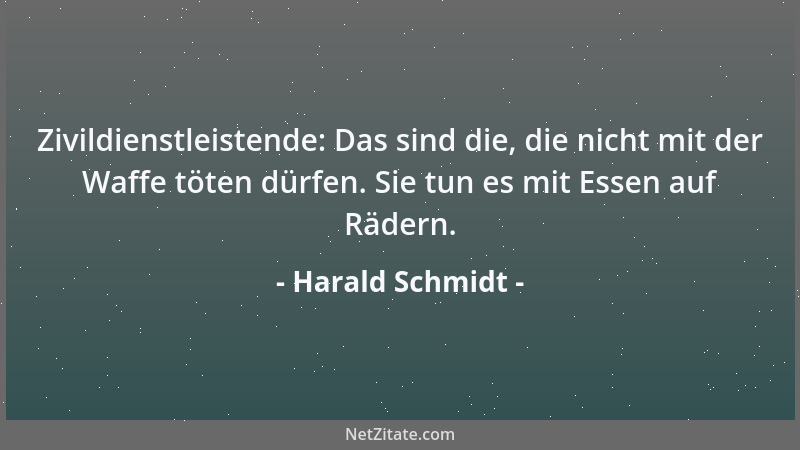 Harald Schmidt - Zivildienstleistende: Das sind die, die nicht mit der Waffe töten dürfen. Sie tun es mit Essen auf Rädern....
