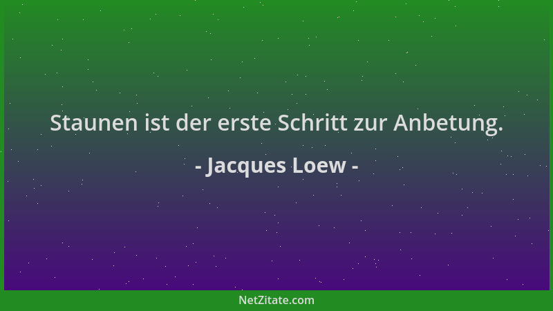 Jacques Loew - Staunen ist der erste Schritt zur Anbetung....