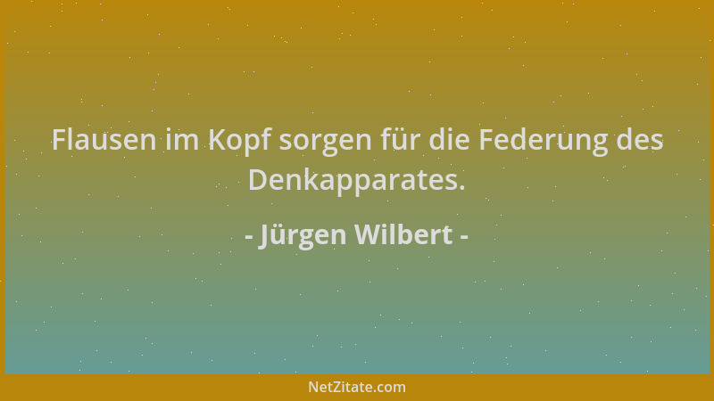 Jürgen Wilbert - Flausen im Kopf sorgen für die Federung des Denkapparates....