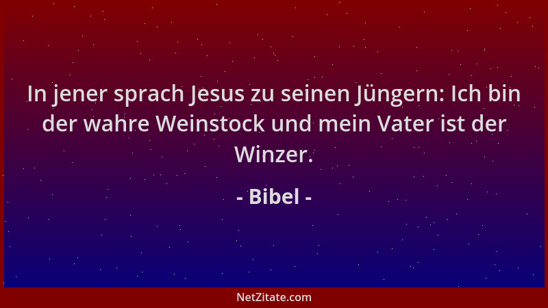 Bibel - In jener sprach Jesus zu seinen Jüngern: Ich bin der wahre Weinstock und mein Vater ist der Winzer....