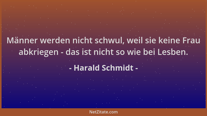 Harald Schmidt - Männer werden nicht schwul, weil sie keine Frau abkriegen - das ist nicht so wie bei Lesben....