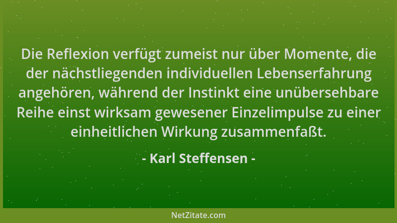 Karl Steffensen - Die Reflexion verfügt zumeist nur über Momente, die der nächstliegenden individuellen Lebenserfahrung ang...