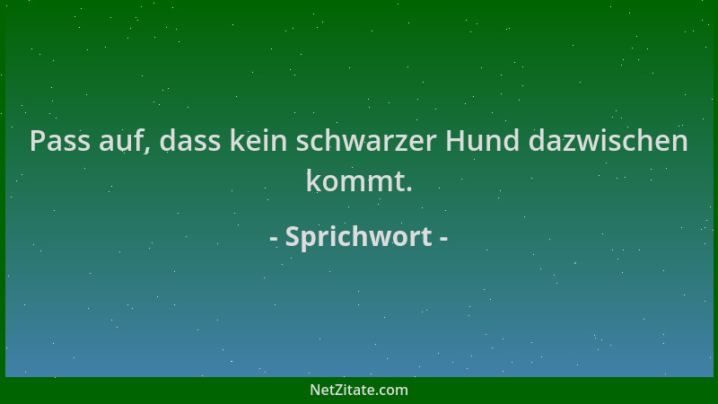 Sprichwort - Pass auf, dass kein schwarzer Hund dazwischen kommt....