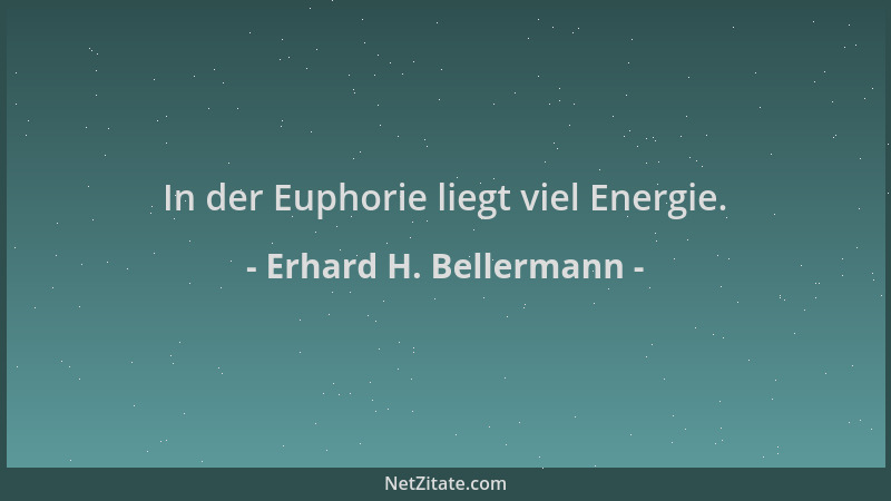 Erhard H. Bellermann - In der Euphorie liegt viel Energie....