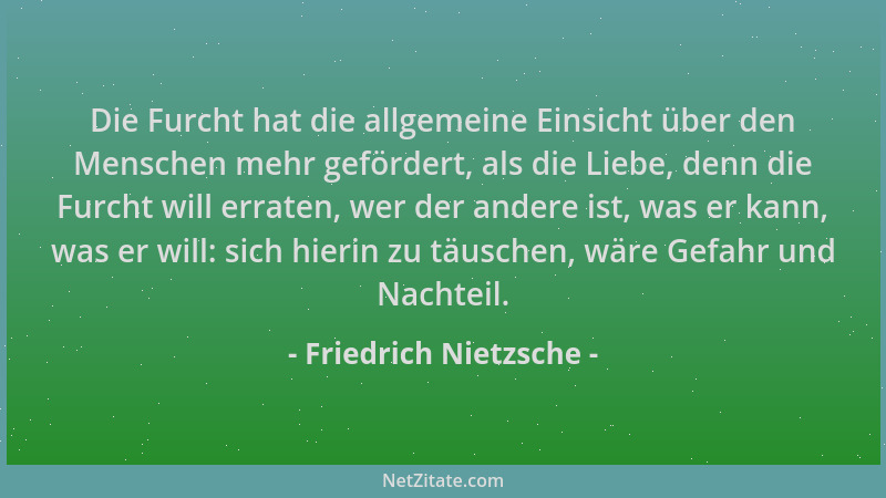 Friedrich Nietzsche - Die Furcht hat die allgemeine Einsicht über den Menschen mehr gefördert, als die Liebe, denn die Furc...