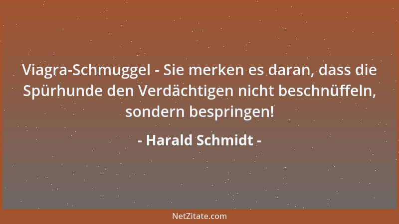 Harald Schmidt - Viagra-Schmuggel - Sie merken es daran, dass die Spürhunde den Verdächtigen nicht beschnüffeln, sondern be...