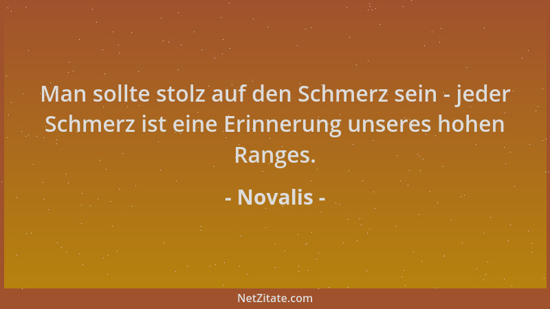 Novalis - Man sollte stolz auf den Schmerz sein - jeder Schmerz ist eine Erinnerung unseres hohen Ranges....