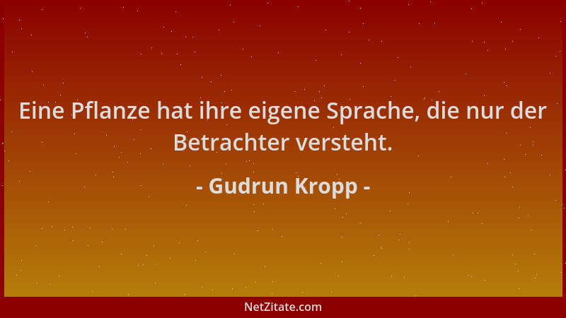 Gudrun Kropp - Eine Pflanze hat ihre eigene Sprache, die nur der Betrachter versteht....
