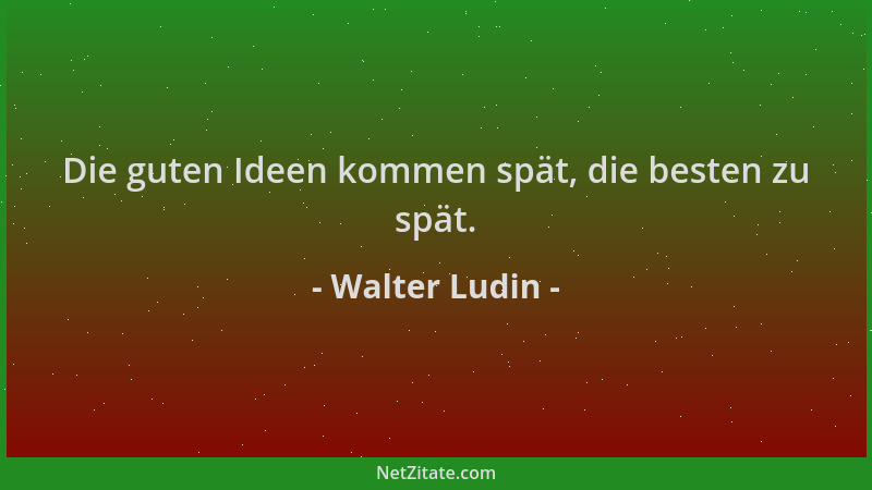 Walter Ludin - Die guten Ideen kommen spät, die besten zu spät....