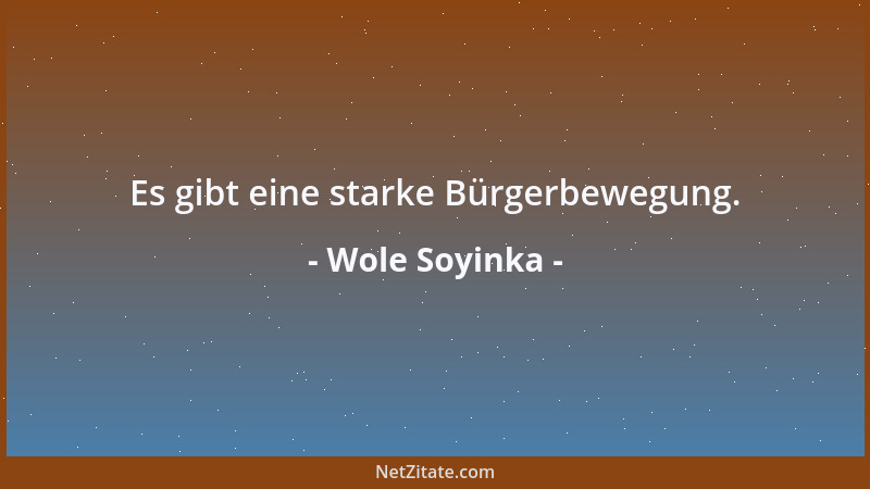Wole Soyinka - Es gibt eine starke Bürgerbewegung....