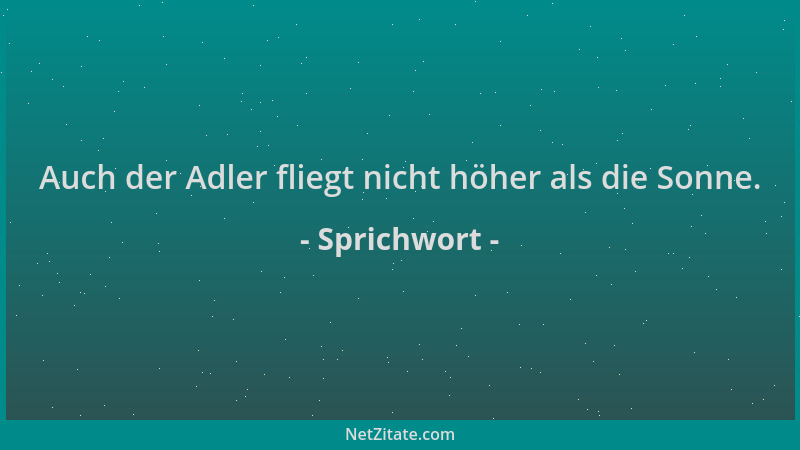 Sprichwort - Auch der Adler fliegt nicht höher als die Sonne....