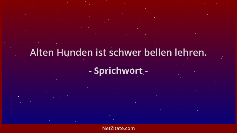 Sprichwort - Alten Hunden ist schwer bellen lehren....
